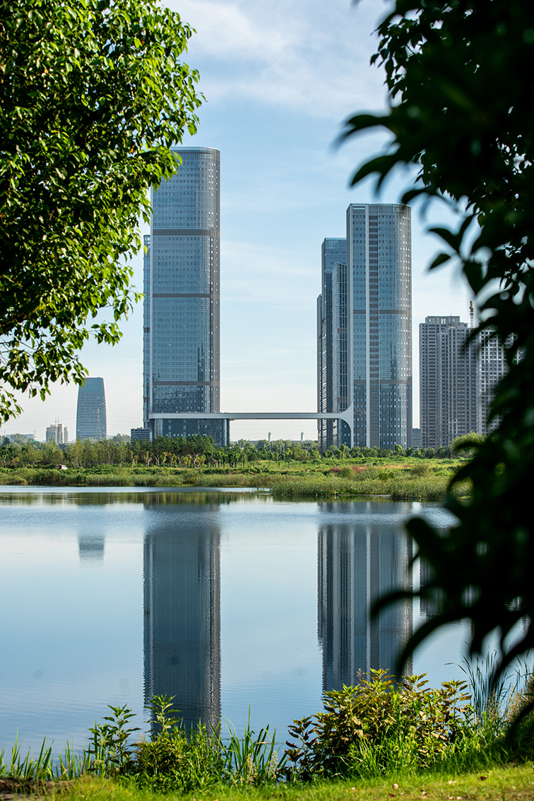 中福广场1、2号楼.jpg